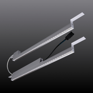 Rekta 30 SAPP - BAP - LO 500mA - 2 armaturen - RAL